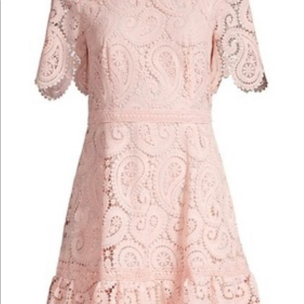 Shoshanna Kiera Lace Fit & Flare Dress - Picture 5 of 15